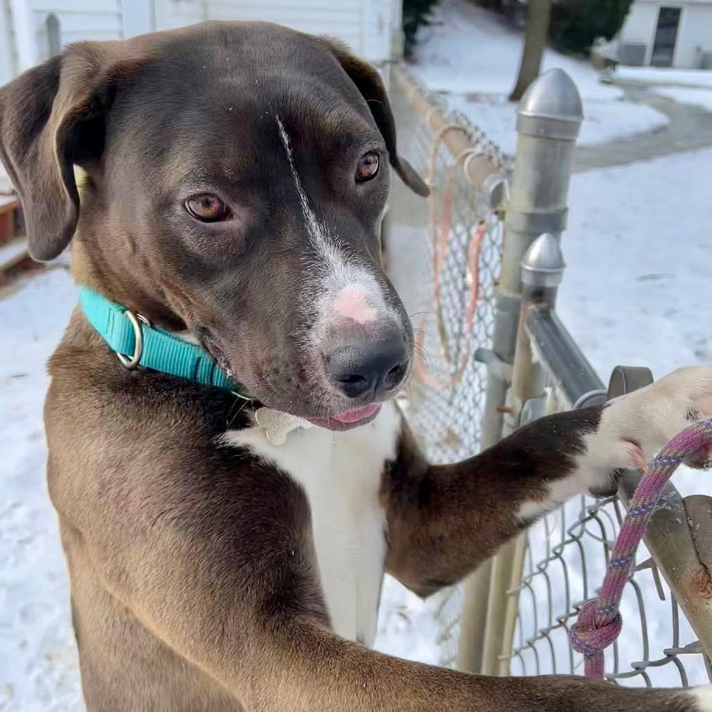 Fendi — thumbnail 3