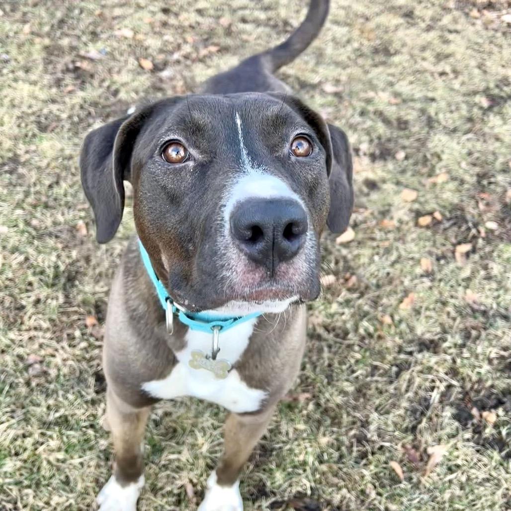 Fendi — thumbnail 4