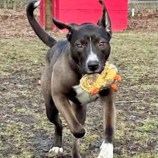 Fendi — thumbnail 5