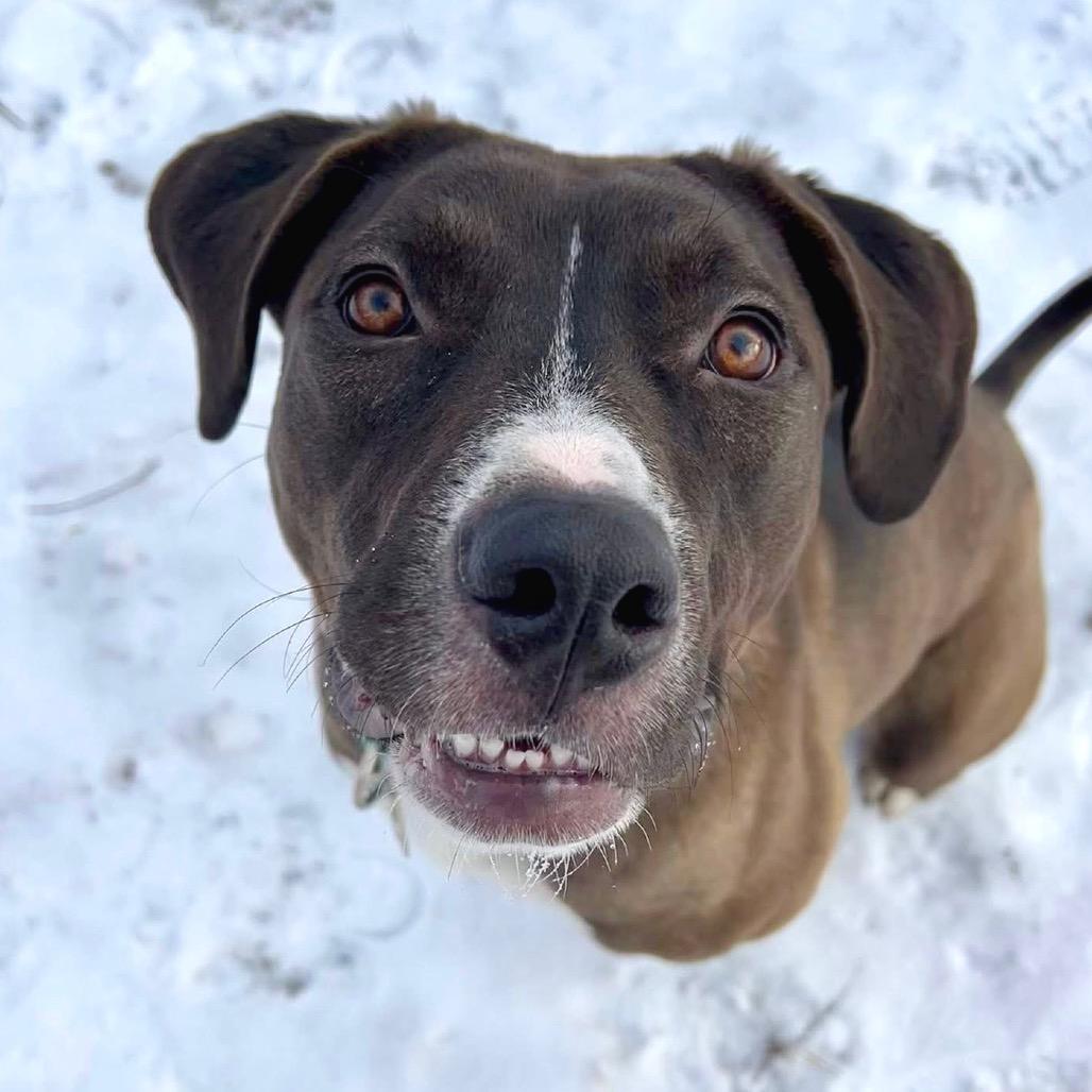 Fendi — thumbnail 6