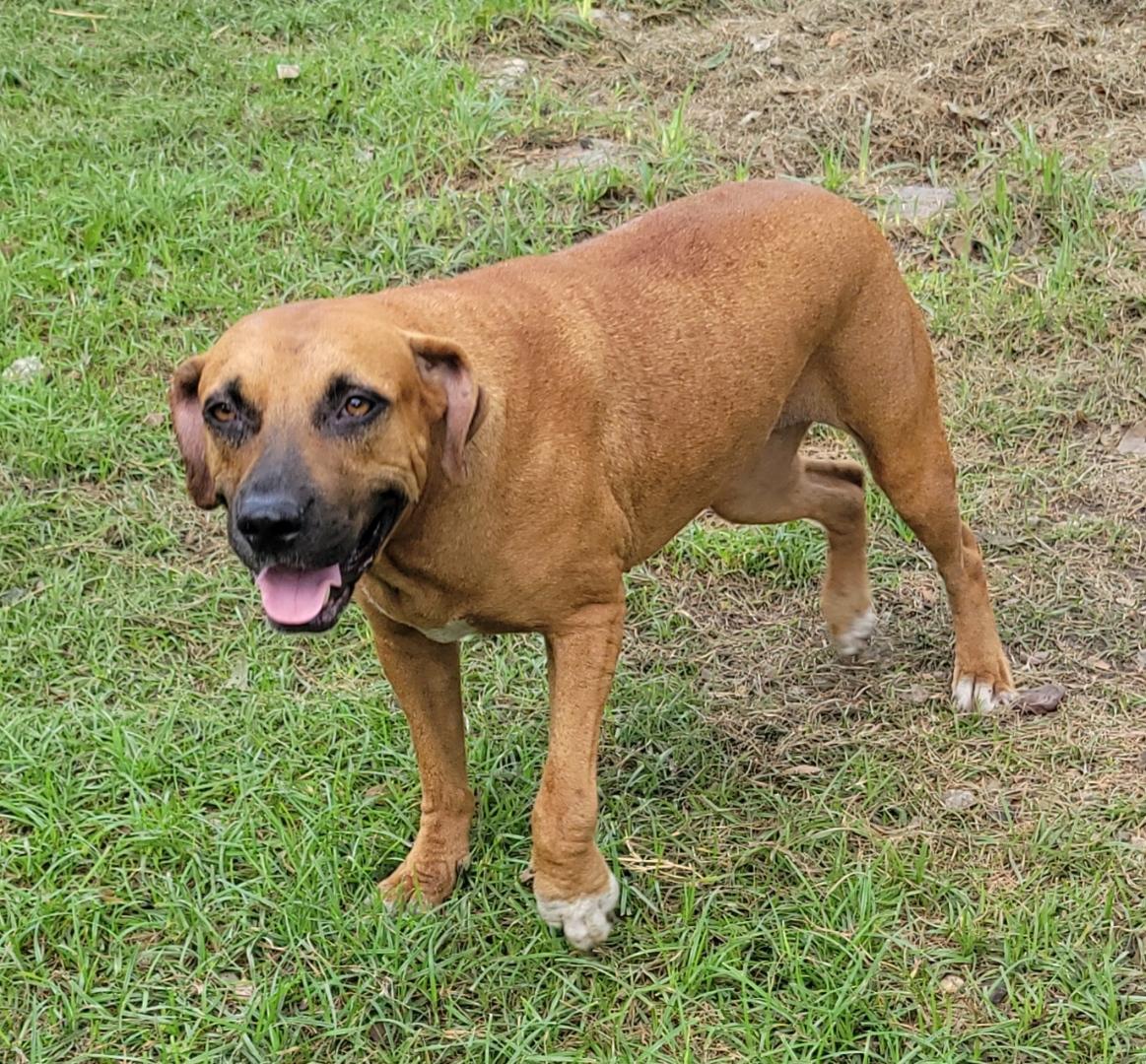 Addie photo