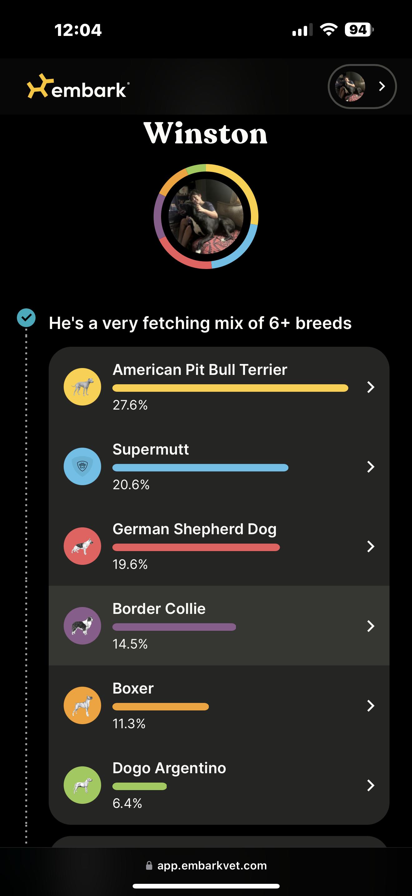 Winston, an adoptable mixed breed in Leesville, LA image 2/6