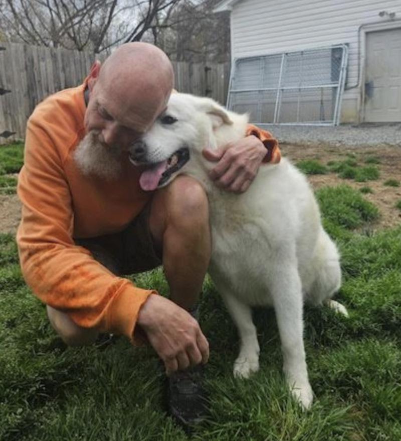 Opal, a Adoptable Great Pyrenees in Thomasville, NC image 1/6