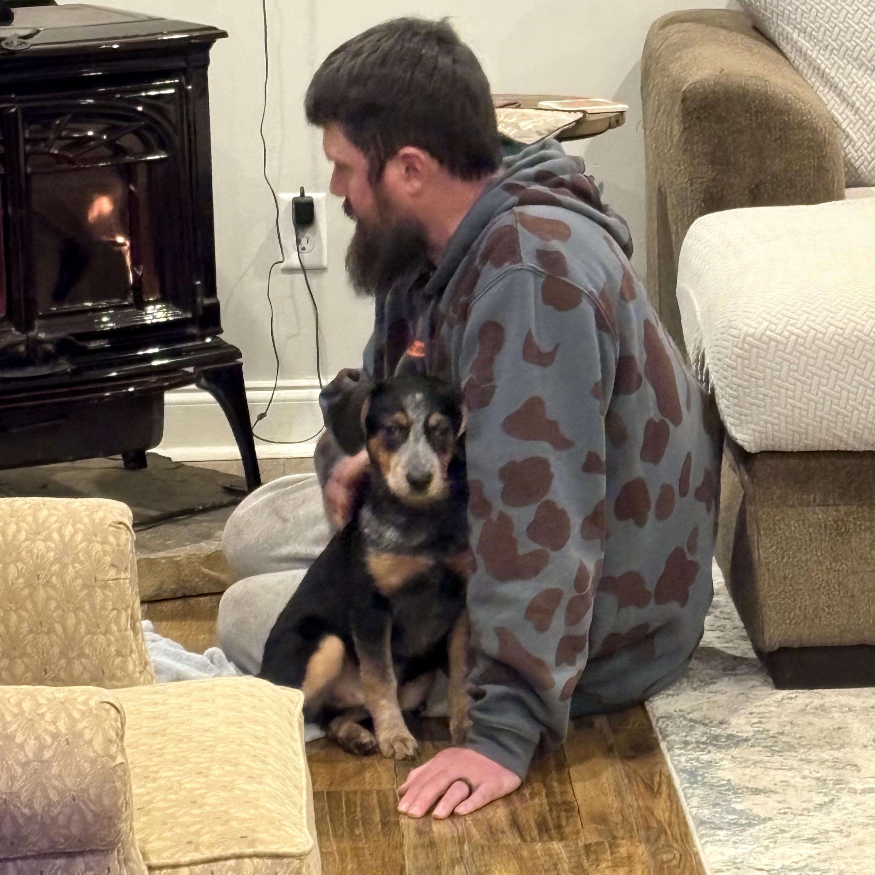 Enlarge Goose, a ADOPTABLE mixed breed in Murray, KY image 3/5