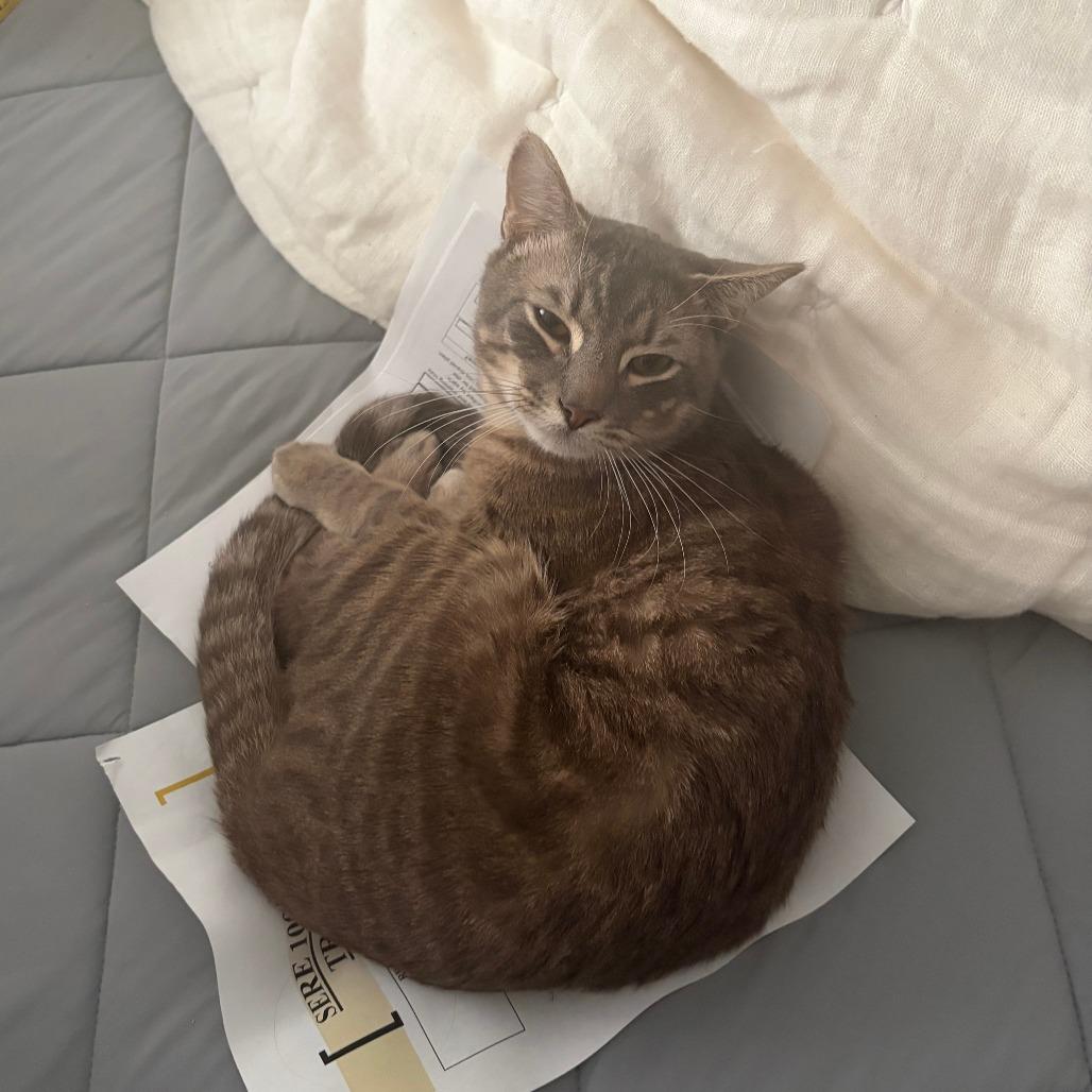 Sonny BBQute — thumbnail 6