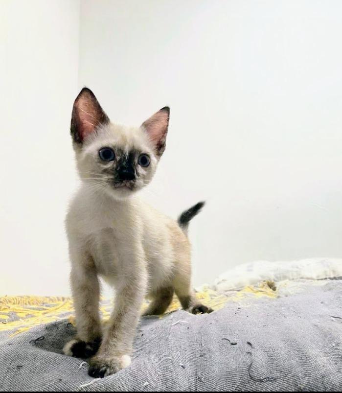 Nina — thumbnail 4