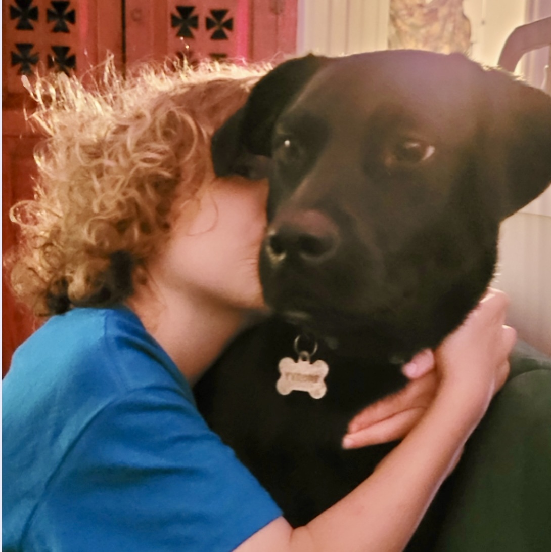 Dog for adoption Ty, a Black Labrador Retriever in Erie, PA Petfinder