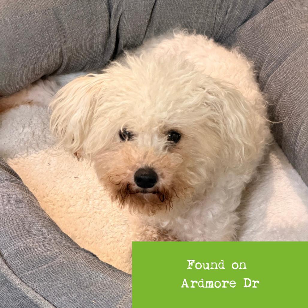 Holly Noel thumbnail 3