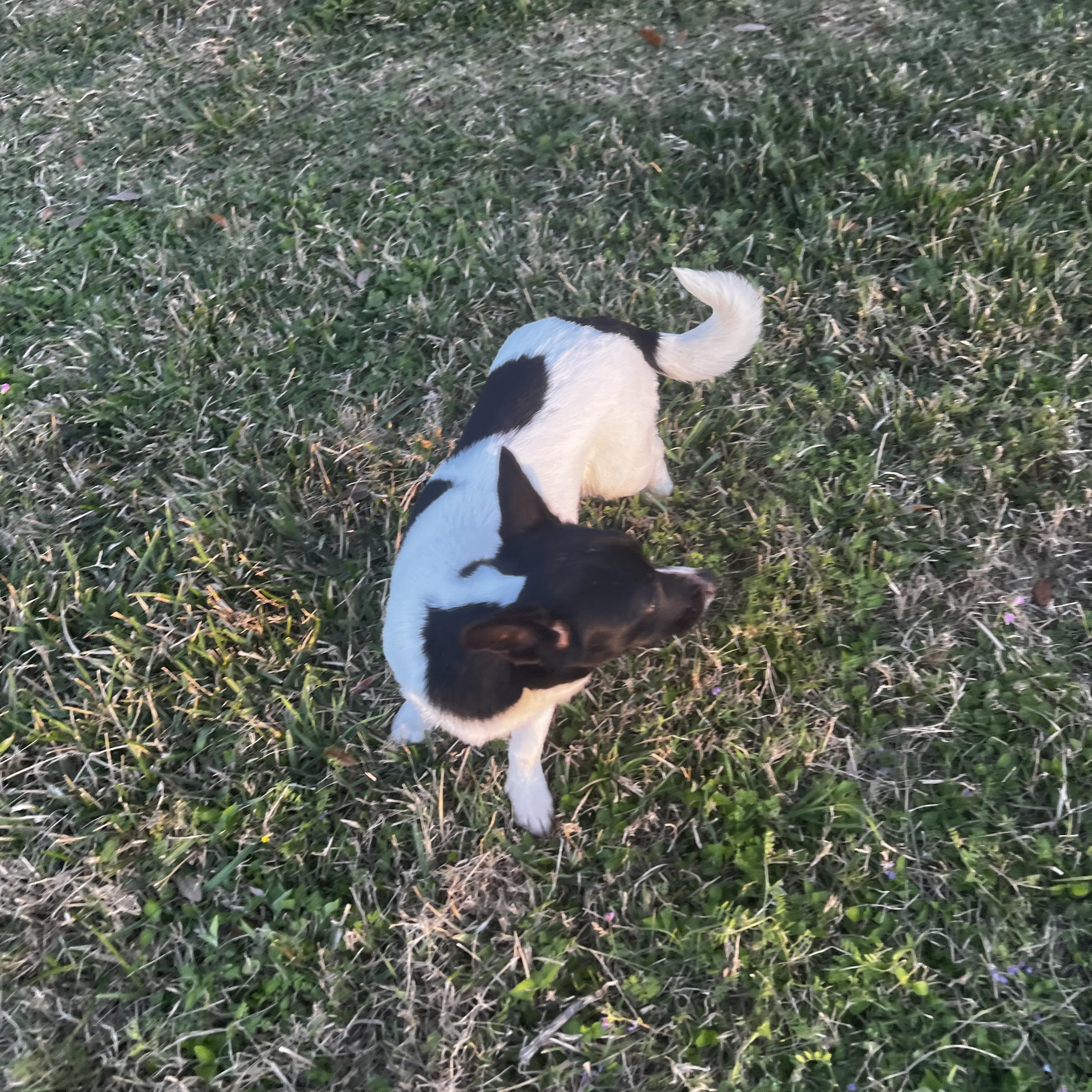 Chey — thumbnail 5