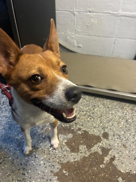 Swiper photo