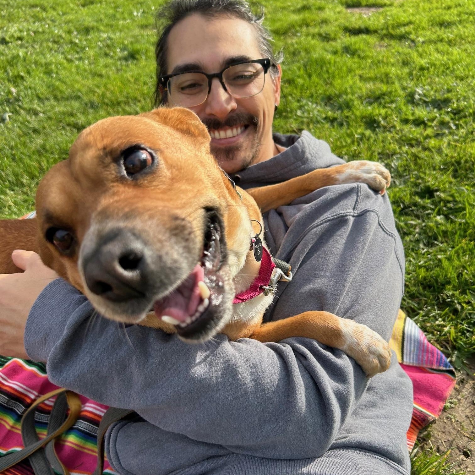 Enlarge Tulia, a ADOPTABLE mixed breed in Santa Rosa, CA image 2/6