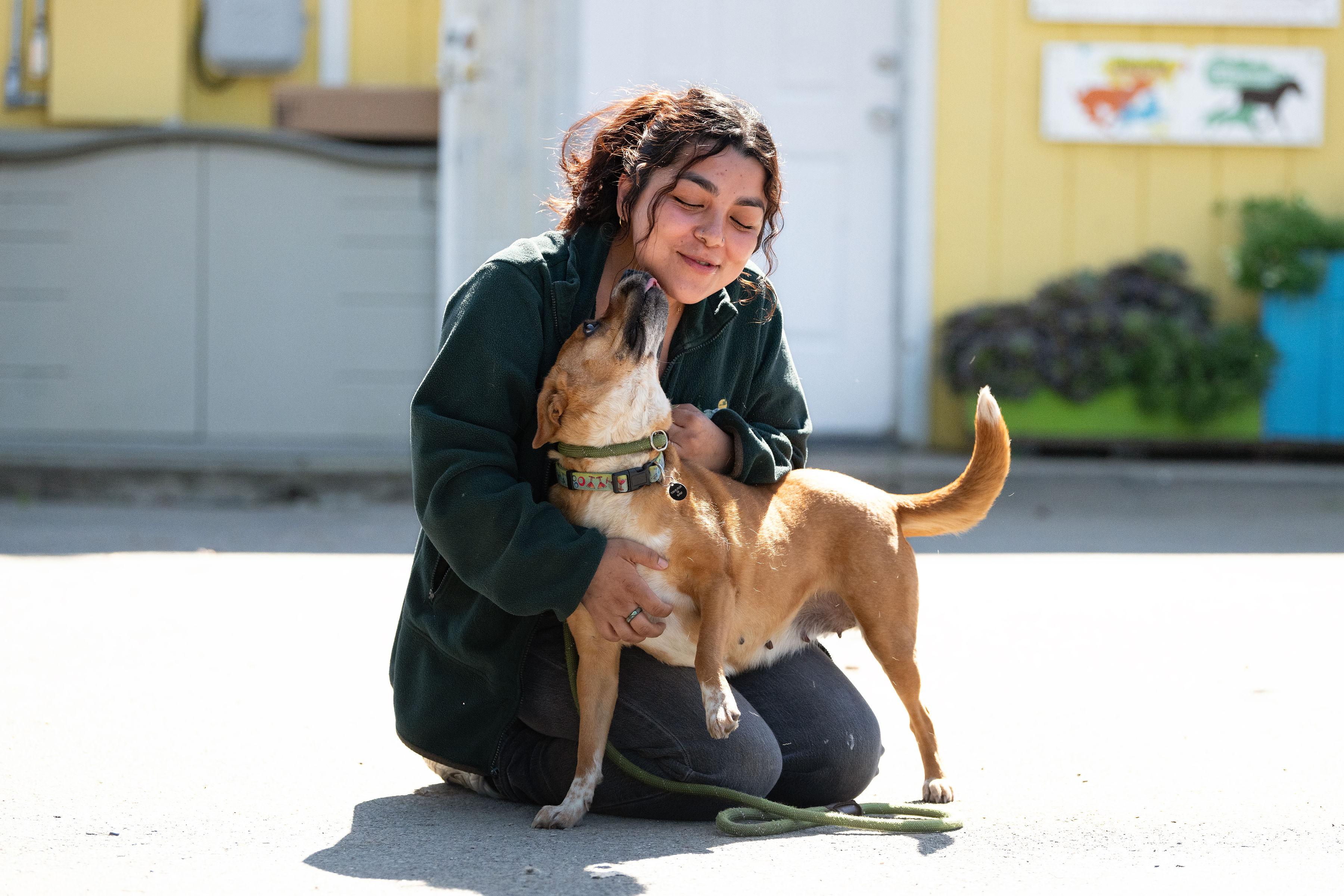 Enlarge Tulia, a ADOPTABLE mixed breed in Santa Rosa, CA image 5/6