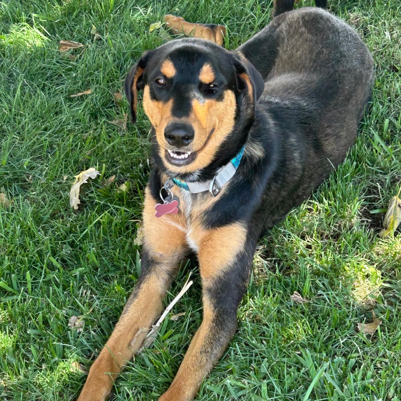 Delilah