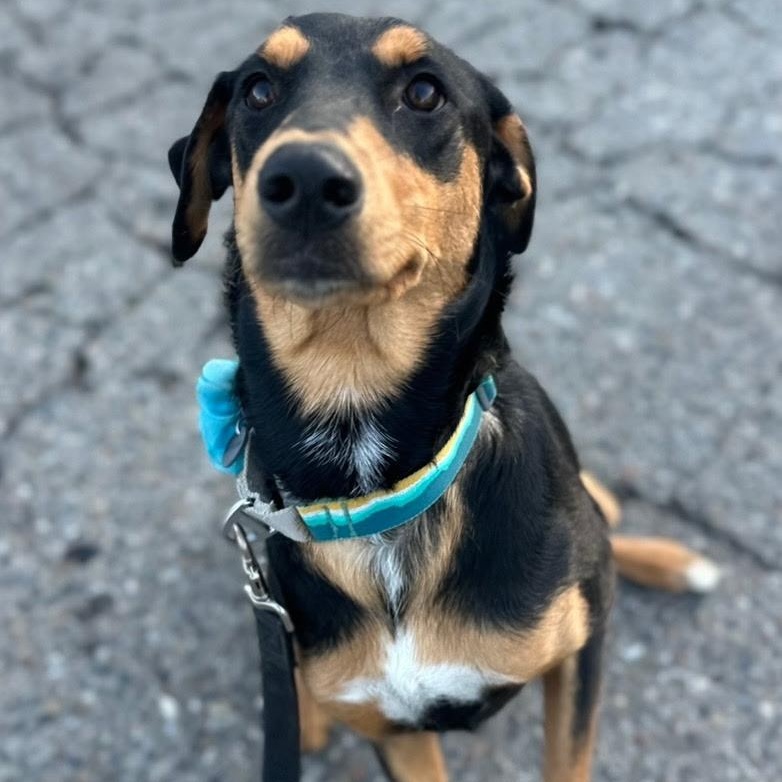 Delilah