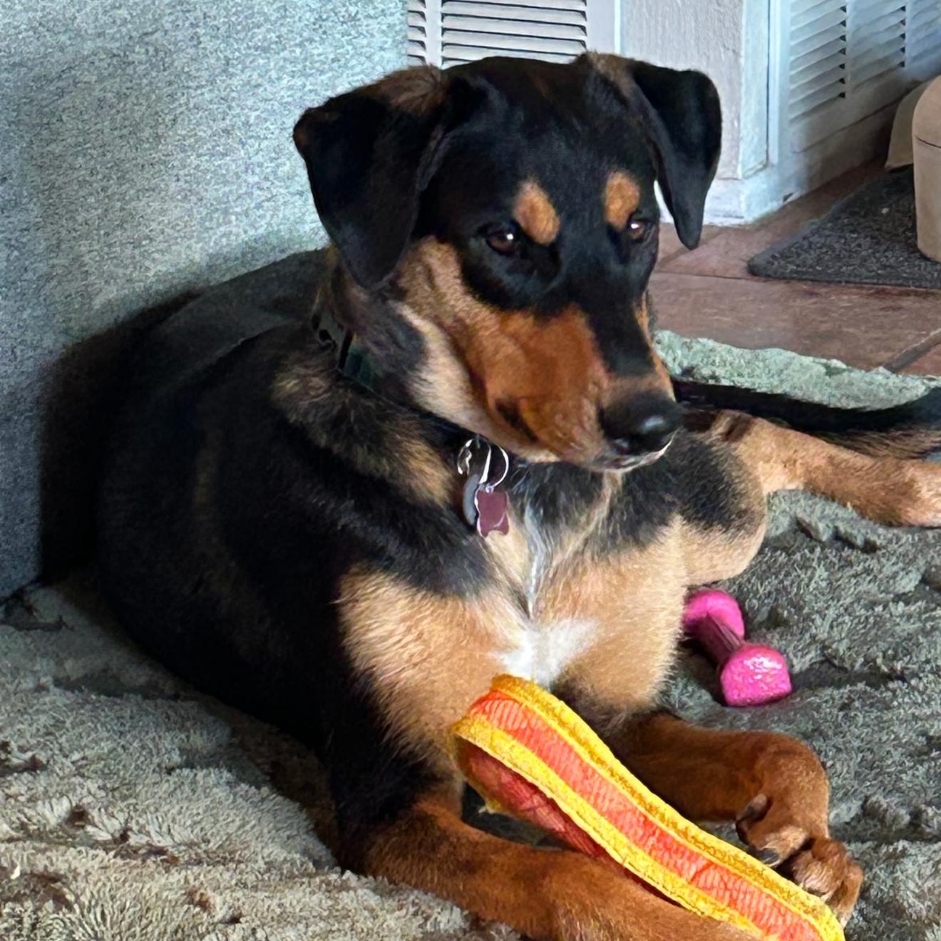 Delilah