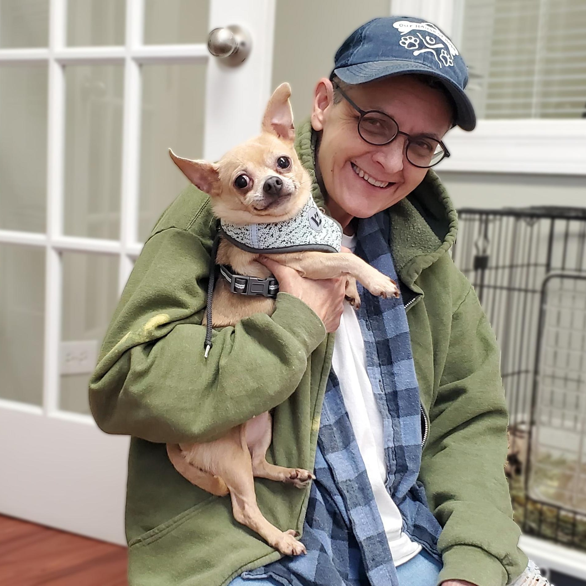 Bug, a Adopted Chihuahua in Libertyville, IL image 2/3