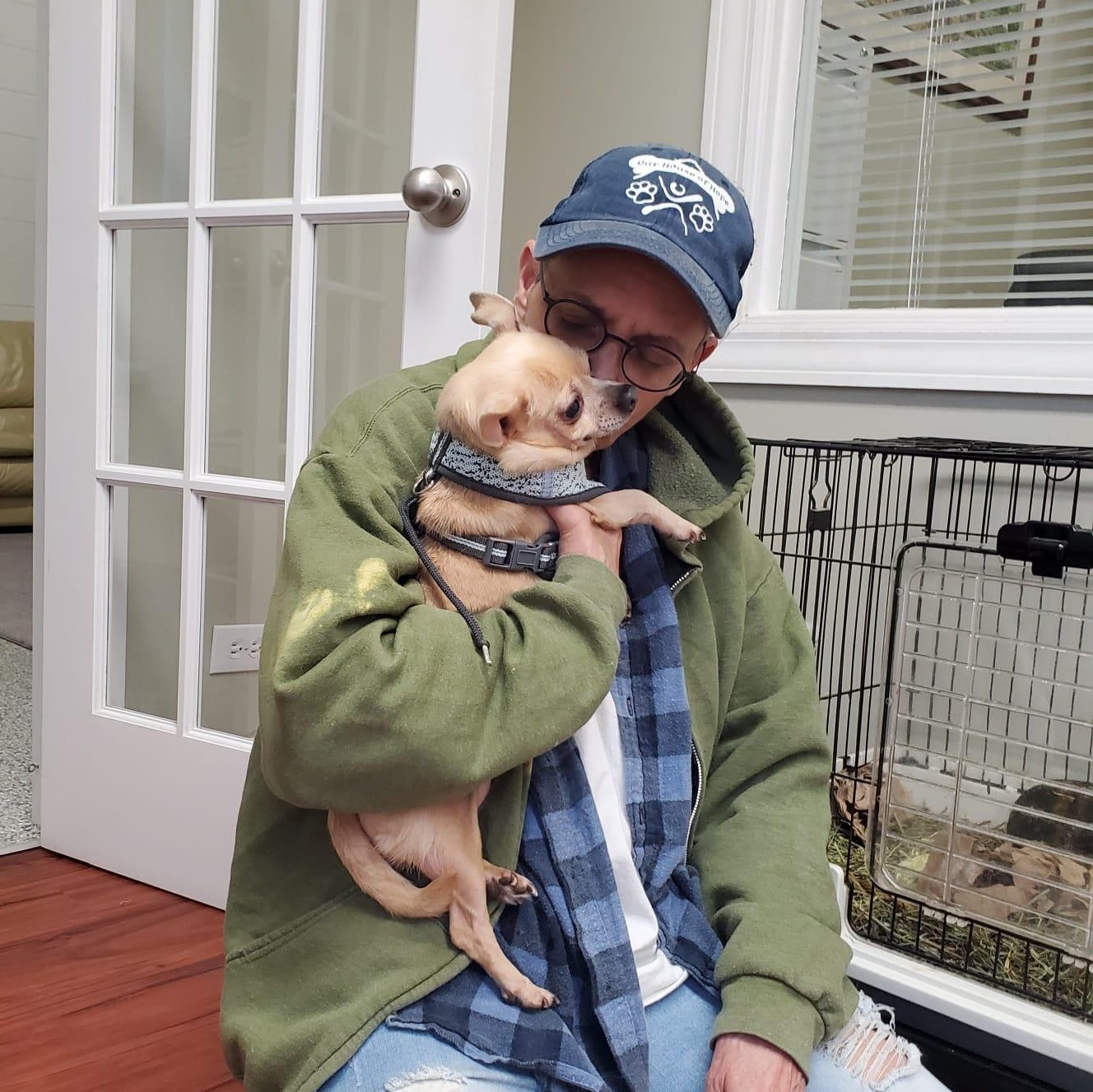 Bug, a Adopted Chihuahua in Libertyville, IL image 3/3