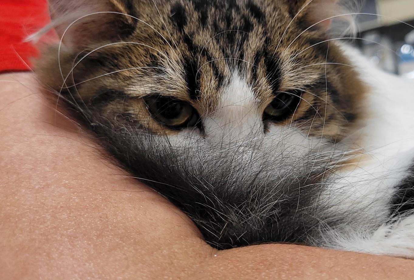 Sammy And Sosi B. thumbnail 4