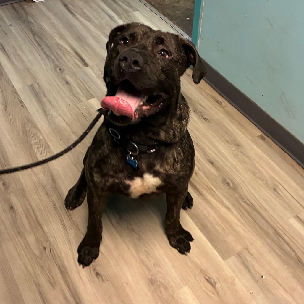 Role Model thumbnail 4