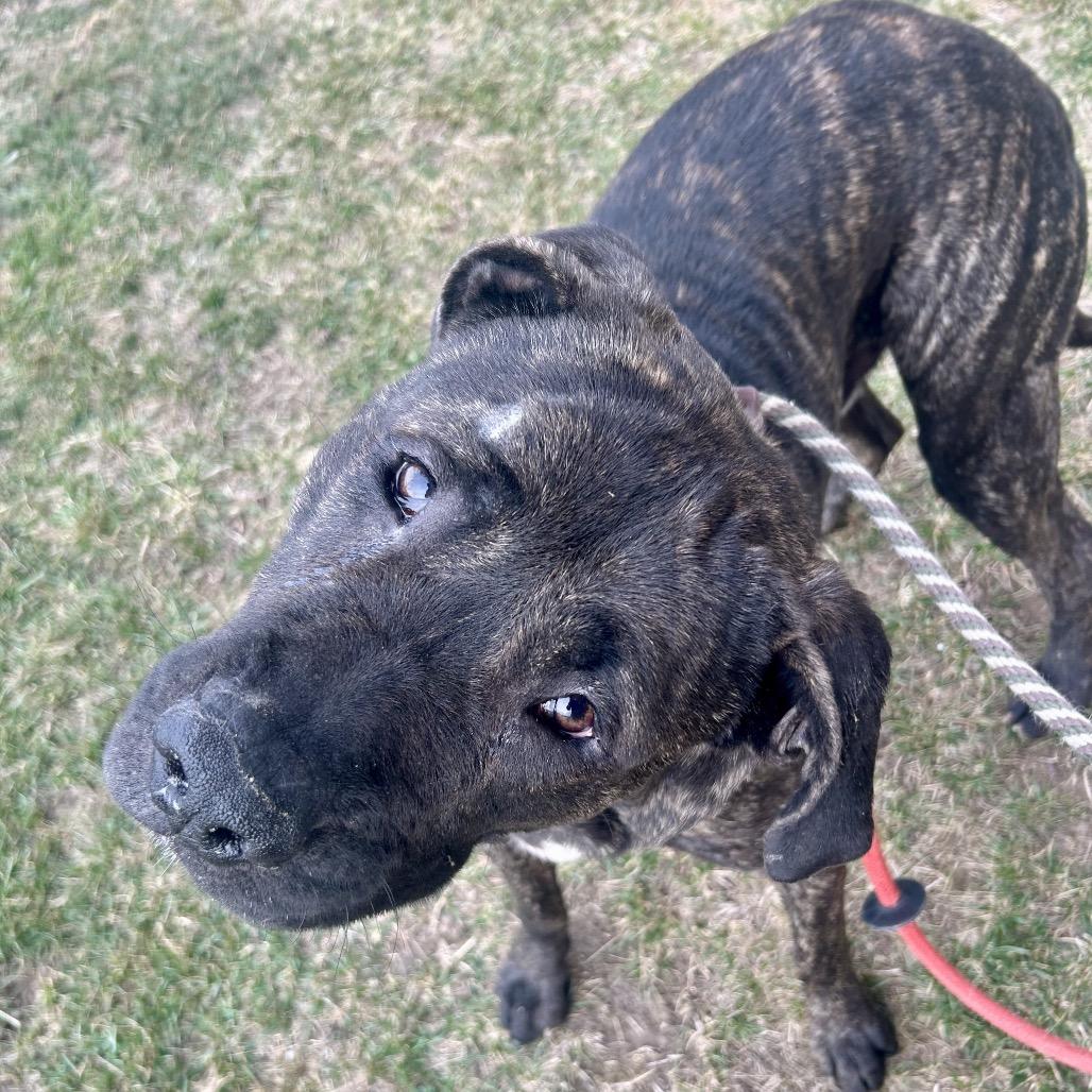 Role Model thumbnail 5