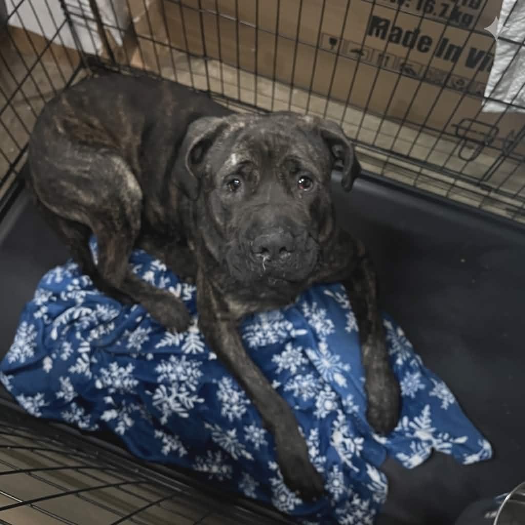 Role Model thumbnail 6