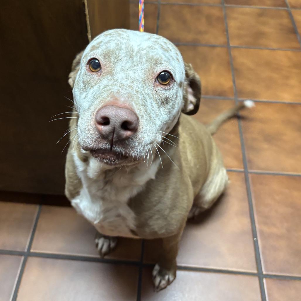 Freckles thumbnail 2