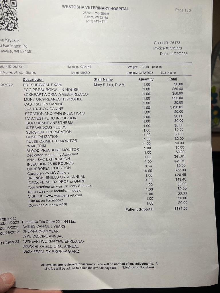 Enlarge Puma, a Adopted mixed breed in Bristol, WI image 1/2