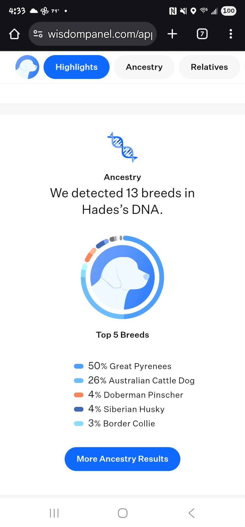 Enlarge Hades, a Adoptable mixed breed in Newfoundland, NJ image 2/3