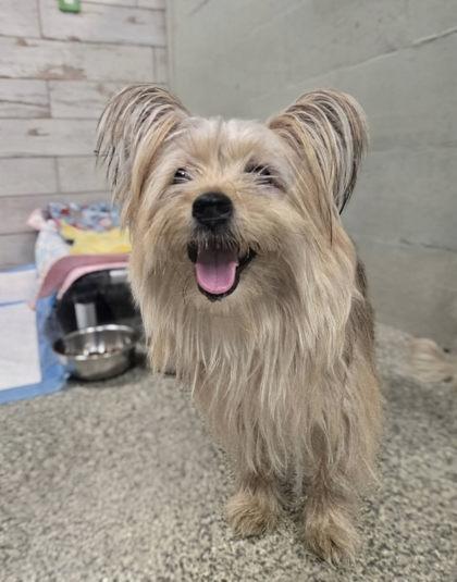 Lexi Bonded To Ricky thumbnail 3