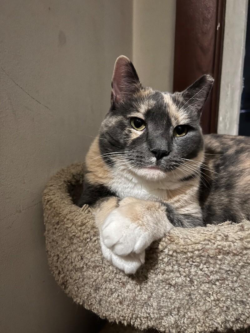 Molly — thumbnail 3