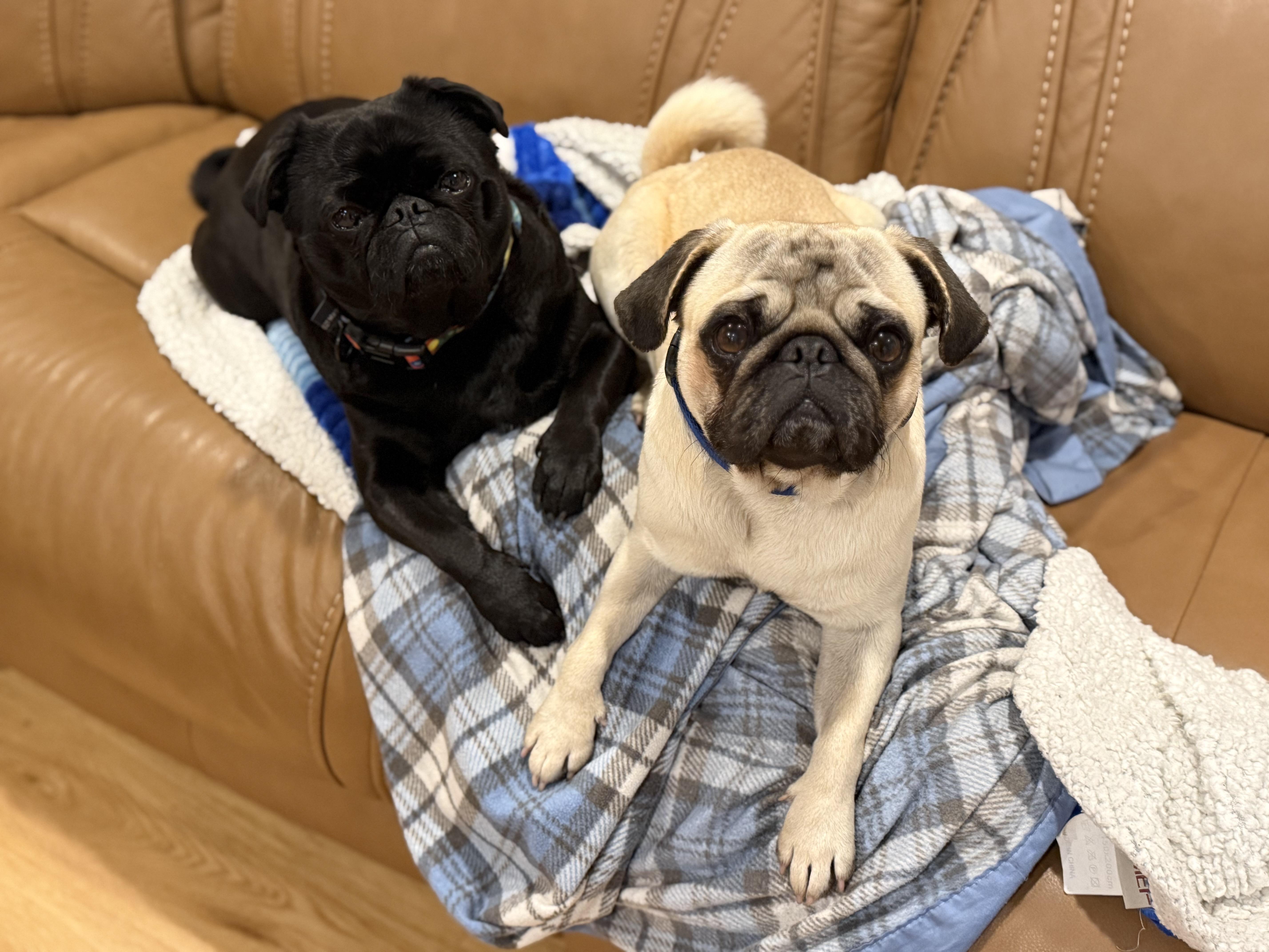 PopCorn — thumbnail 3