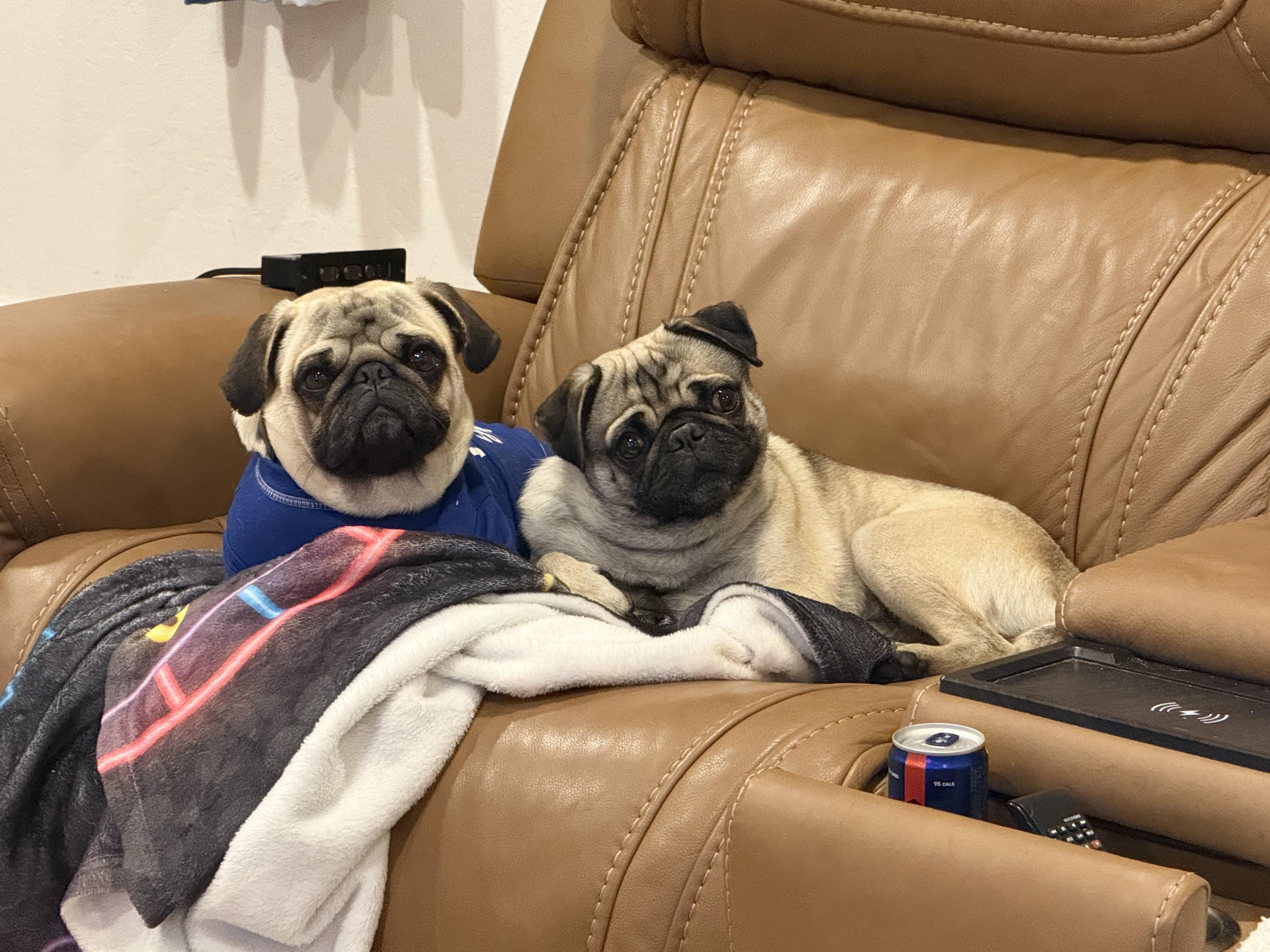 PopCorn — thumbnail 4