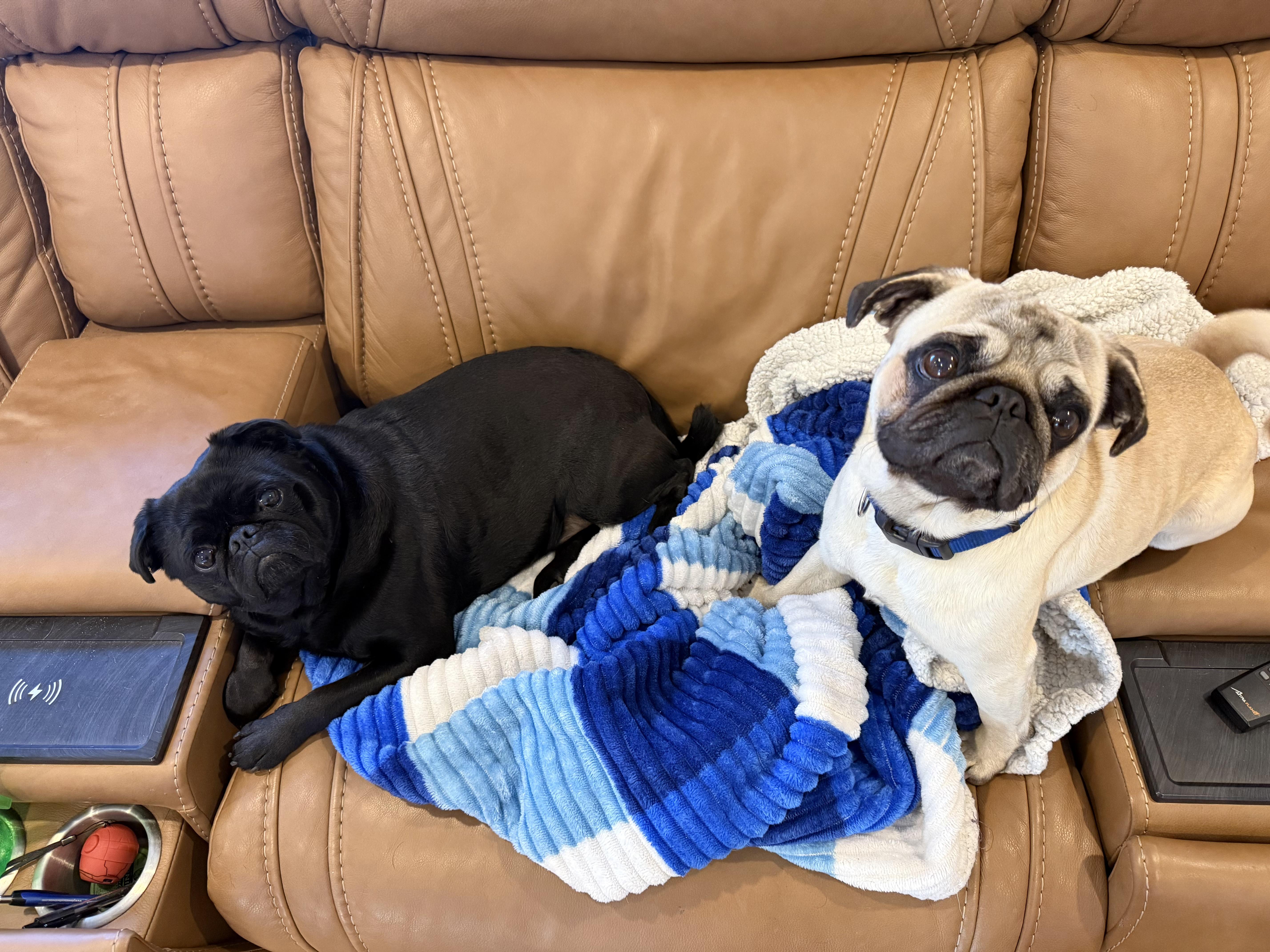 PopCorn — thumbnail 5