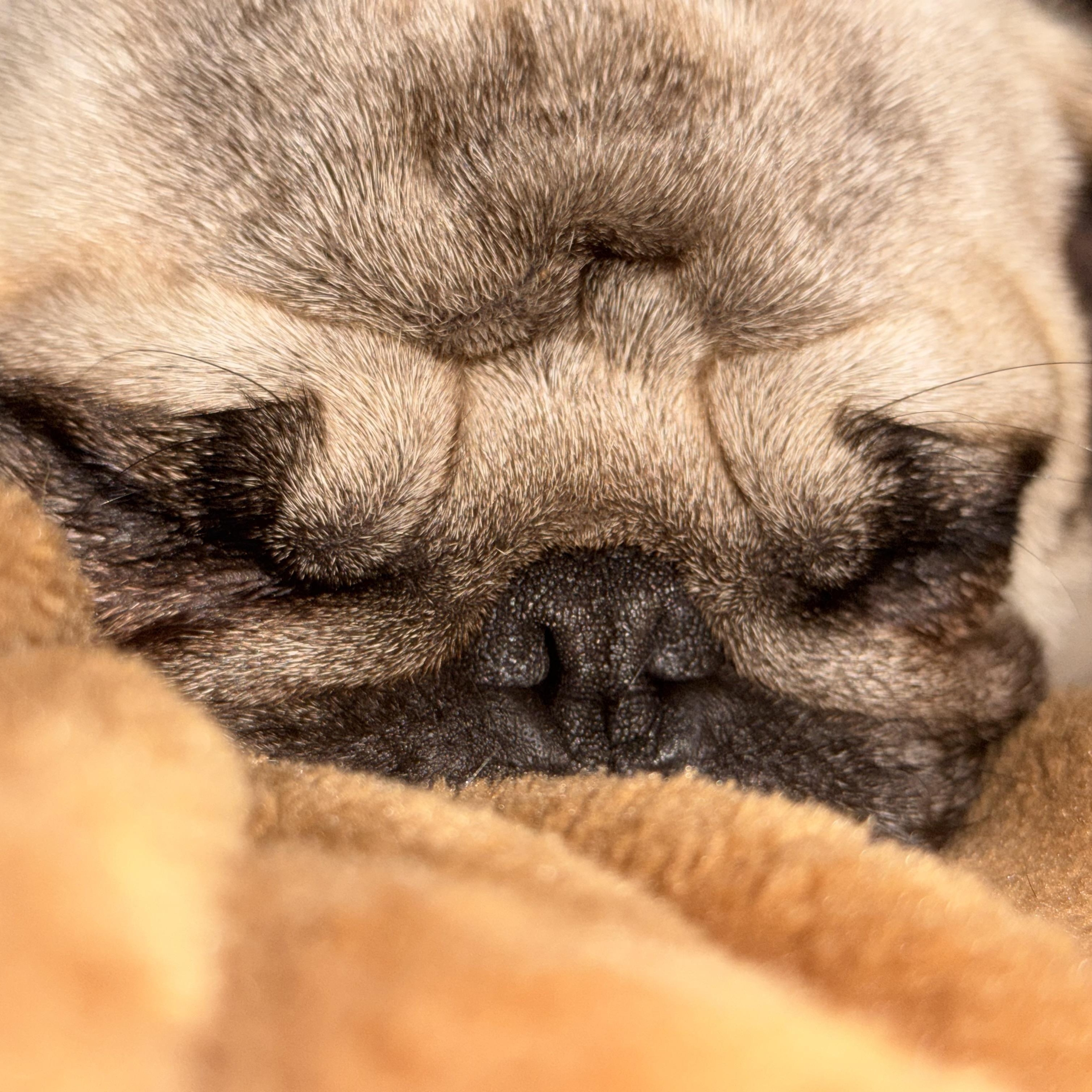 PopCorn — thumbnail 6