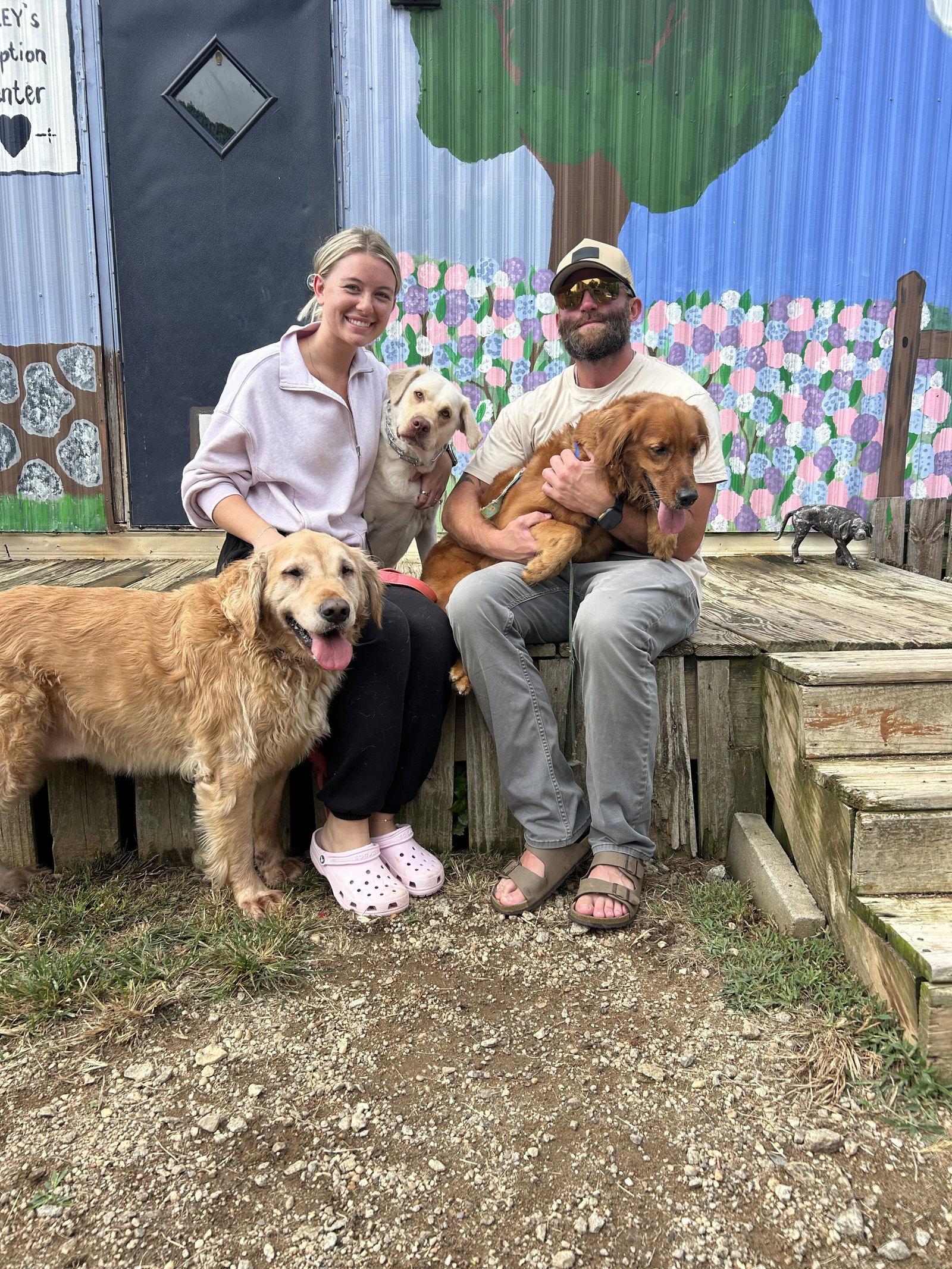 Enlarge Reba Jul 26, a Adoptable Golden Retriever in Pacolet, SC image 2/3
