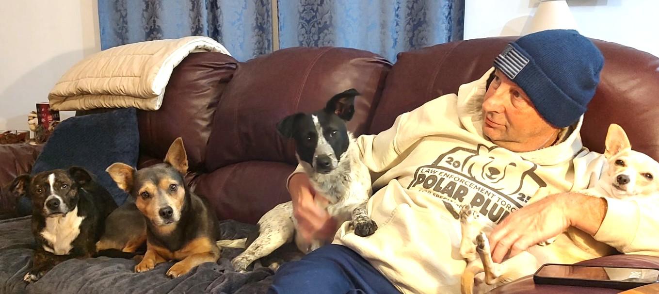 GUINEA, a Adoptable mixed breed in Westmont, IL image 3/6