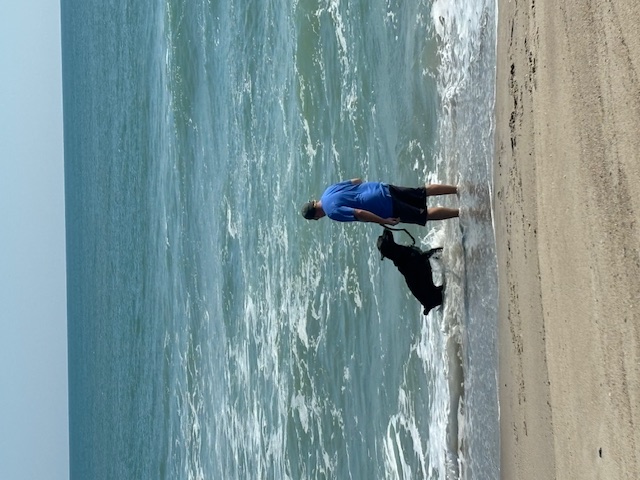 Petunia CT, a Adoptable Bullmastiff in Clinton, CT image 3/6