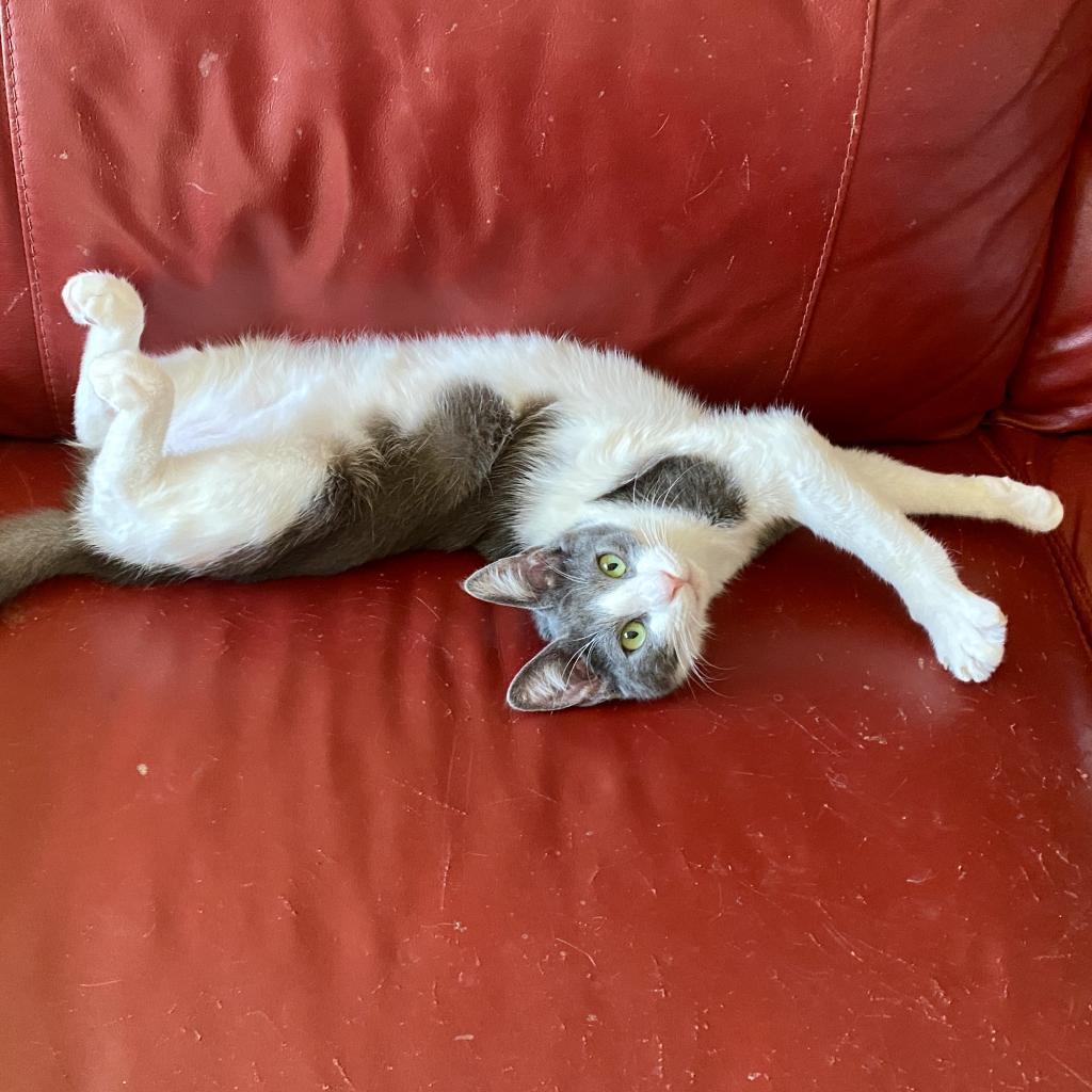 Luca — thumbnail 2