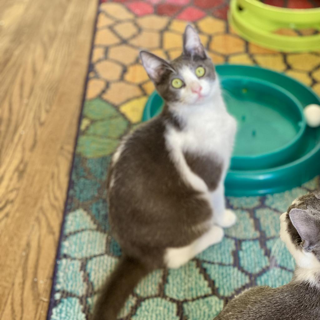 Luca — thumbnail 6