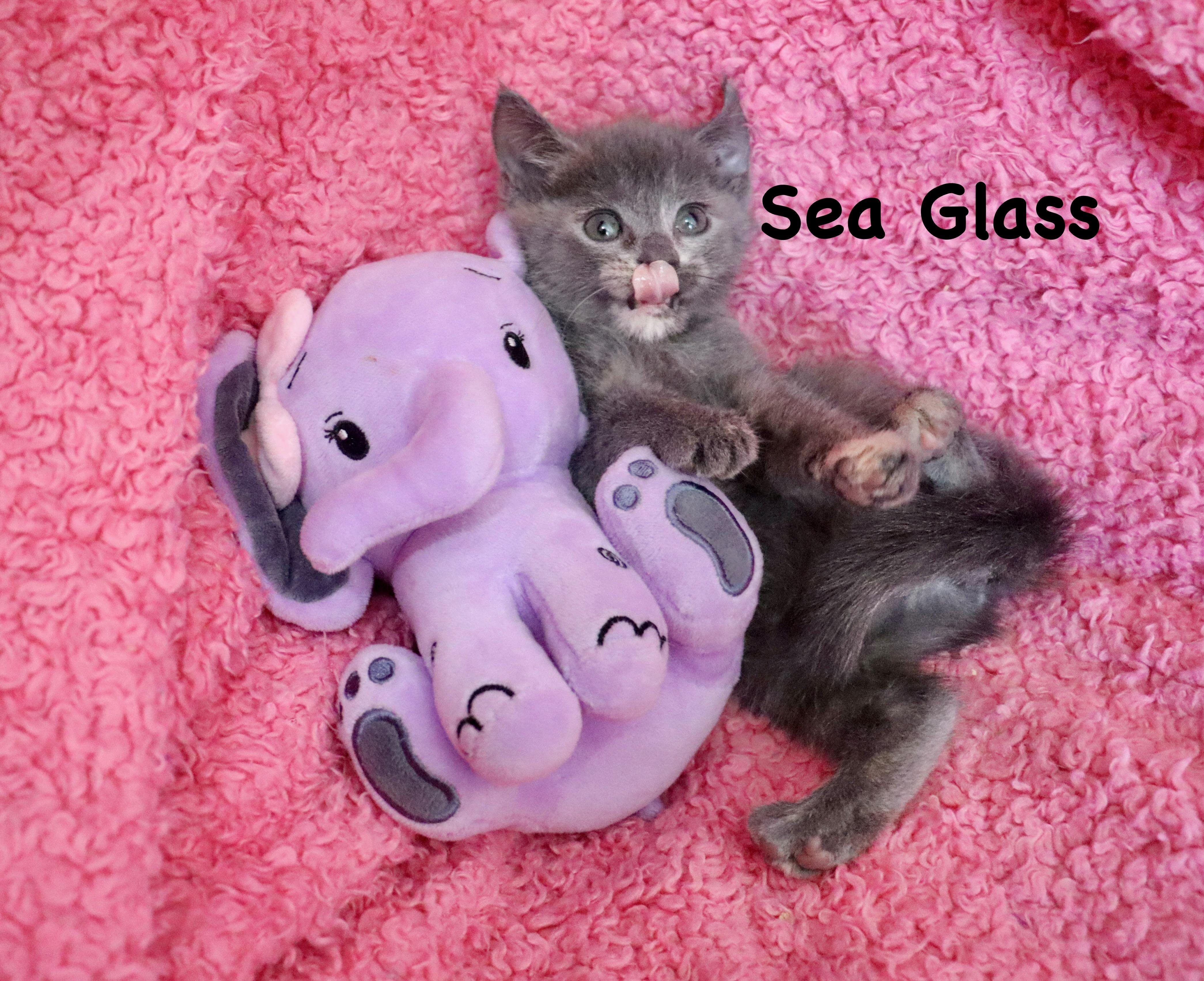 Sea glass photo 2