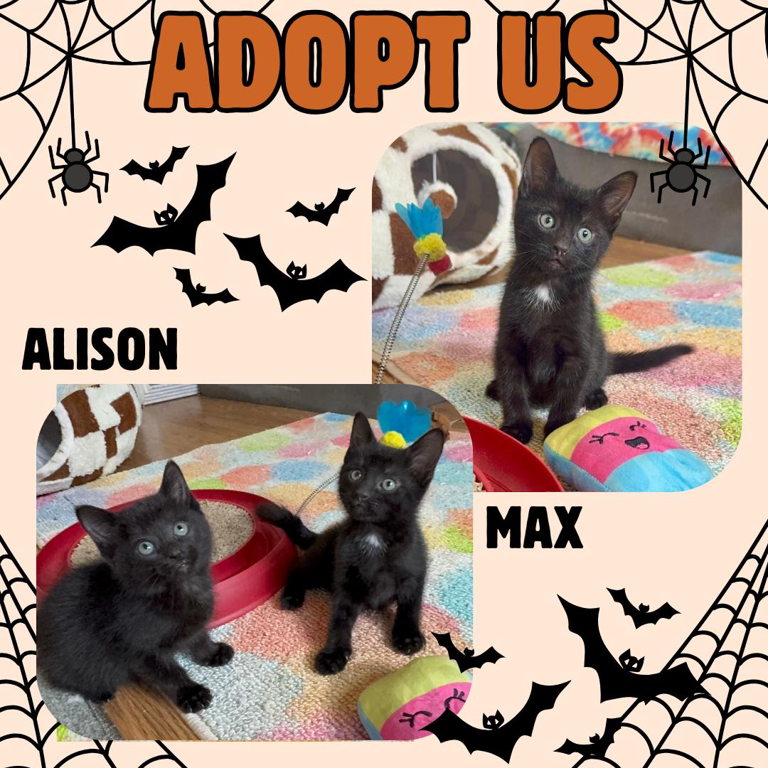 Max & Alison