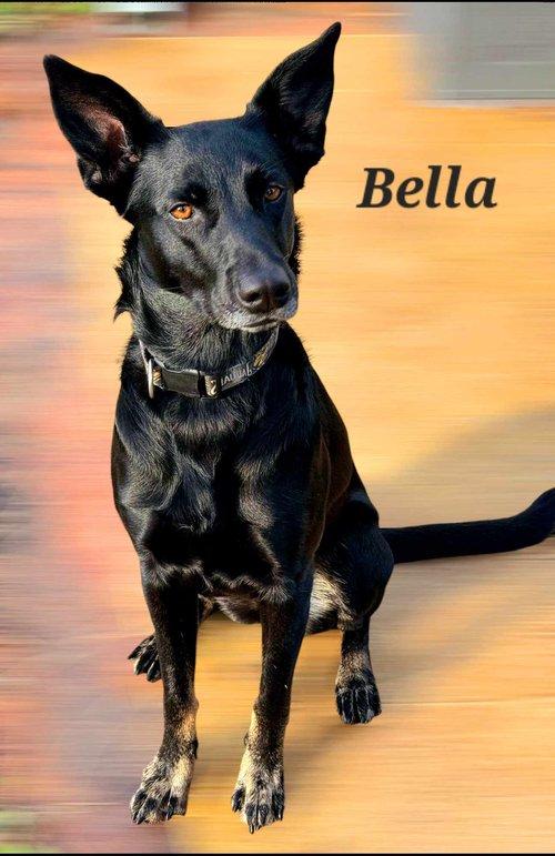 Bella photo 2