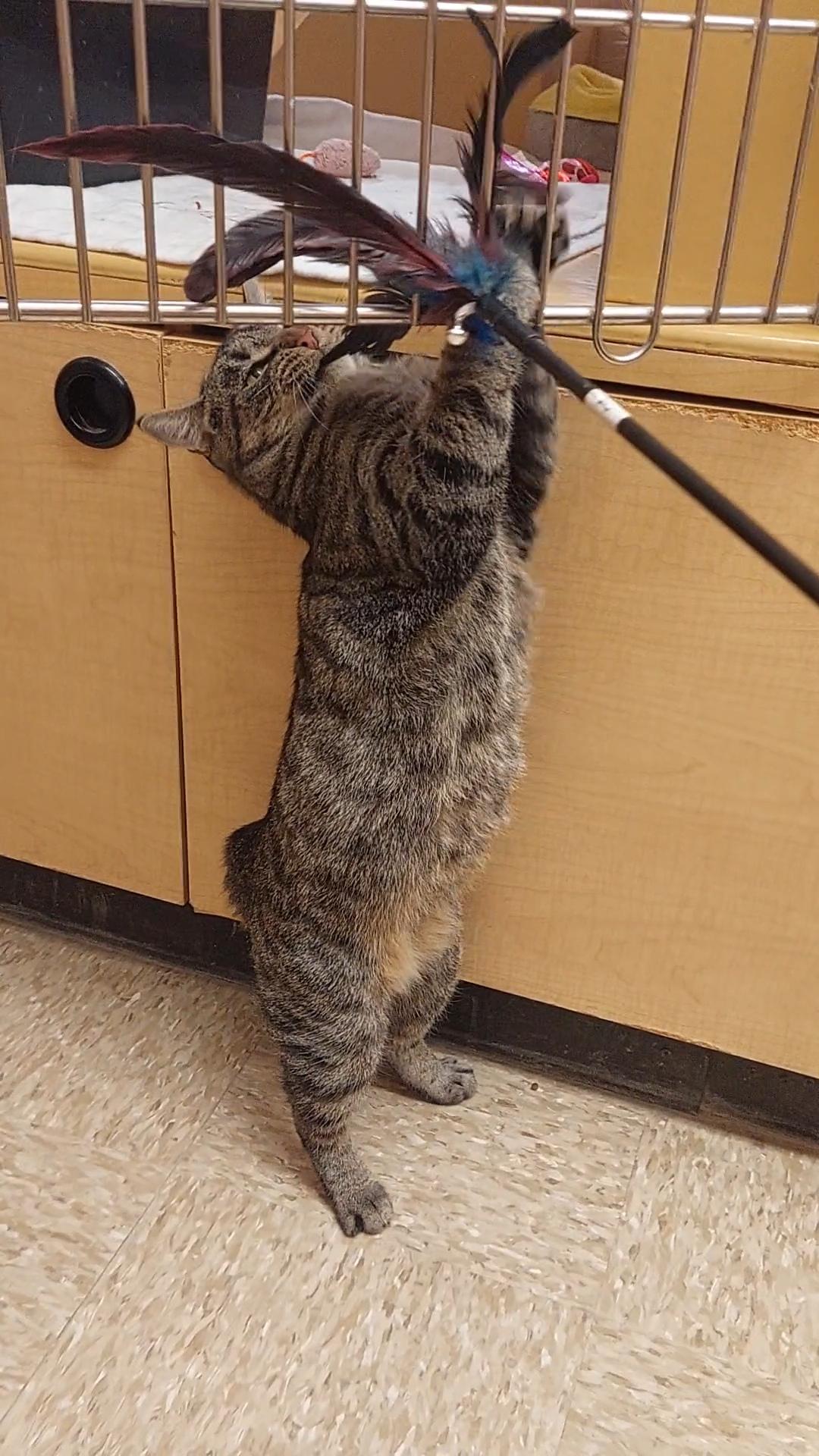 Bob Anna thumbnail 2