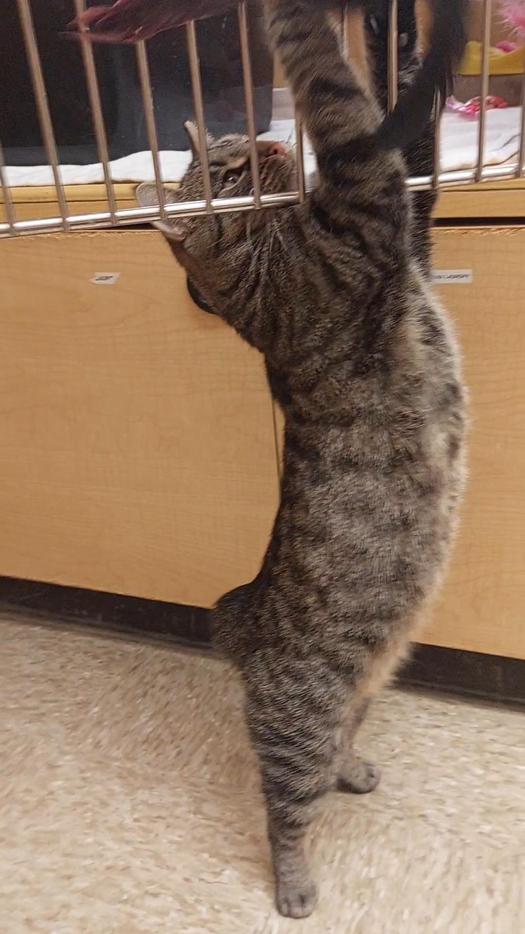 Bob Anna thumbnail 4