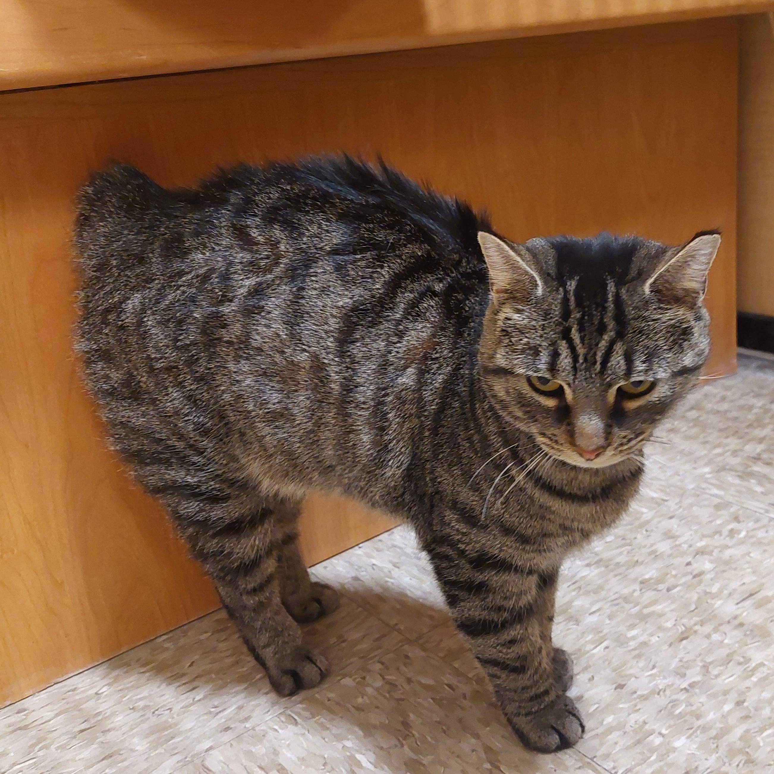 Bob Anna thumbnail 6