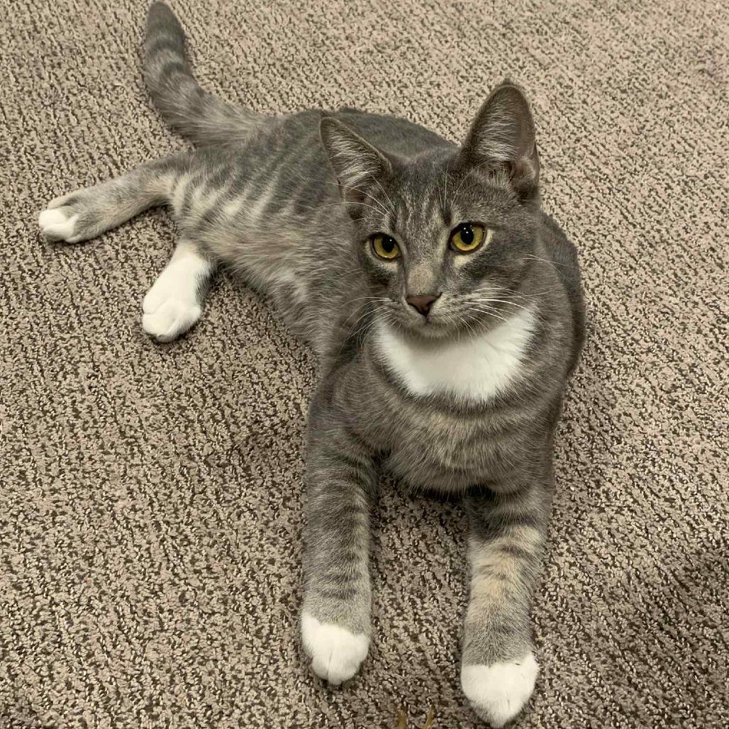 Marbles Orr — thumbnail 2