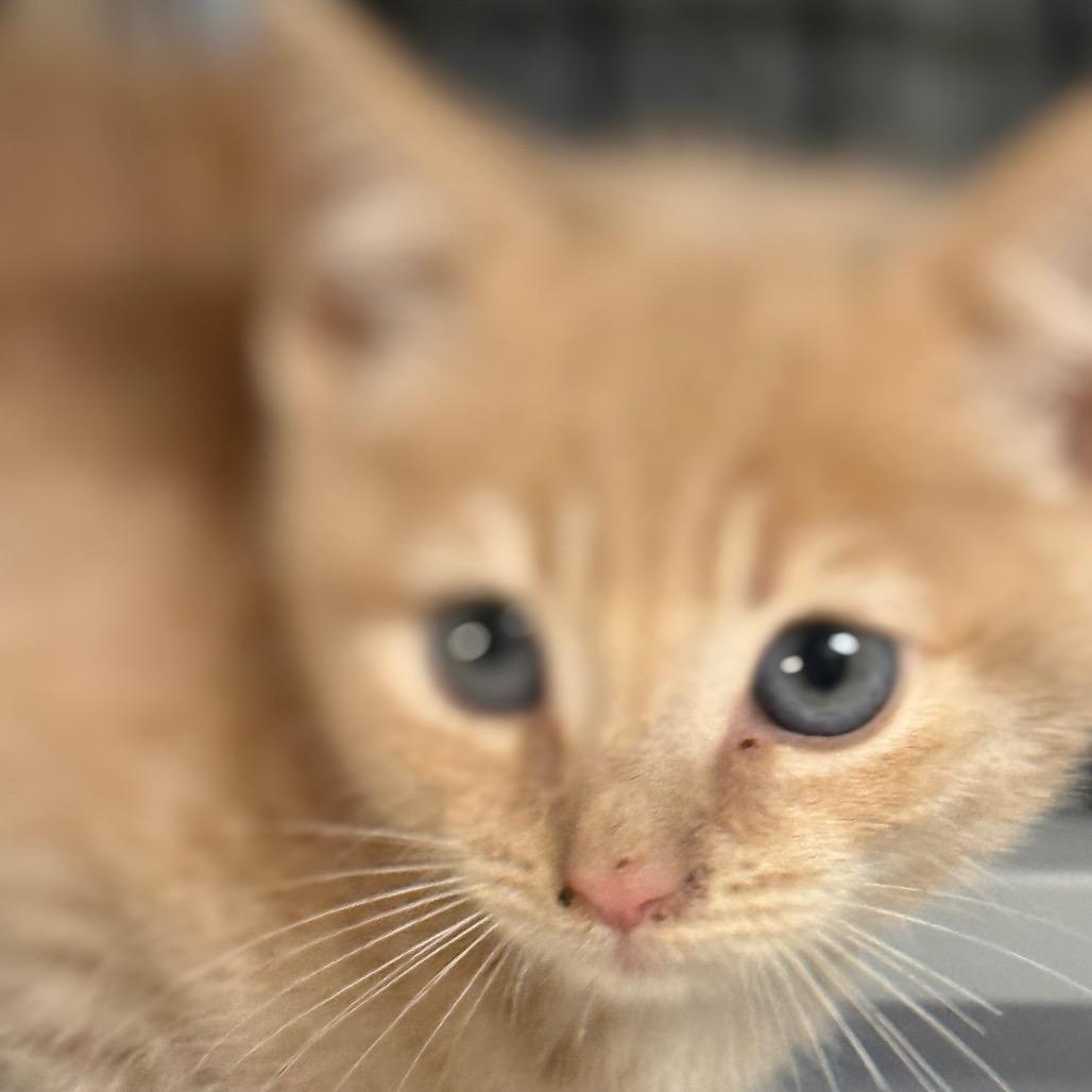 Sunrise — thumbnail 2