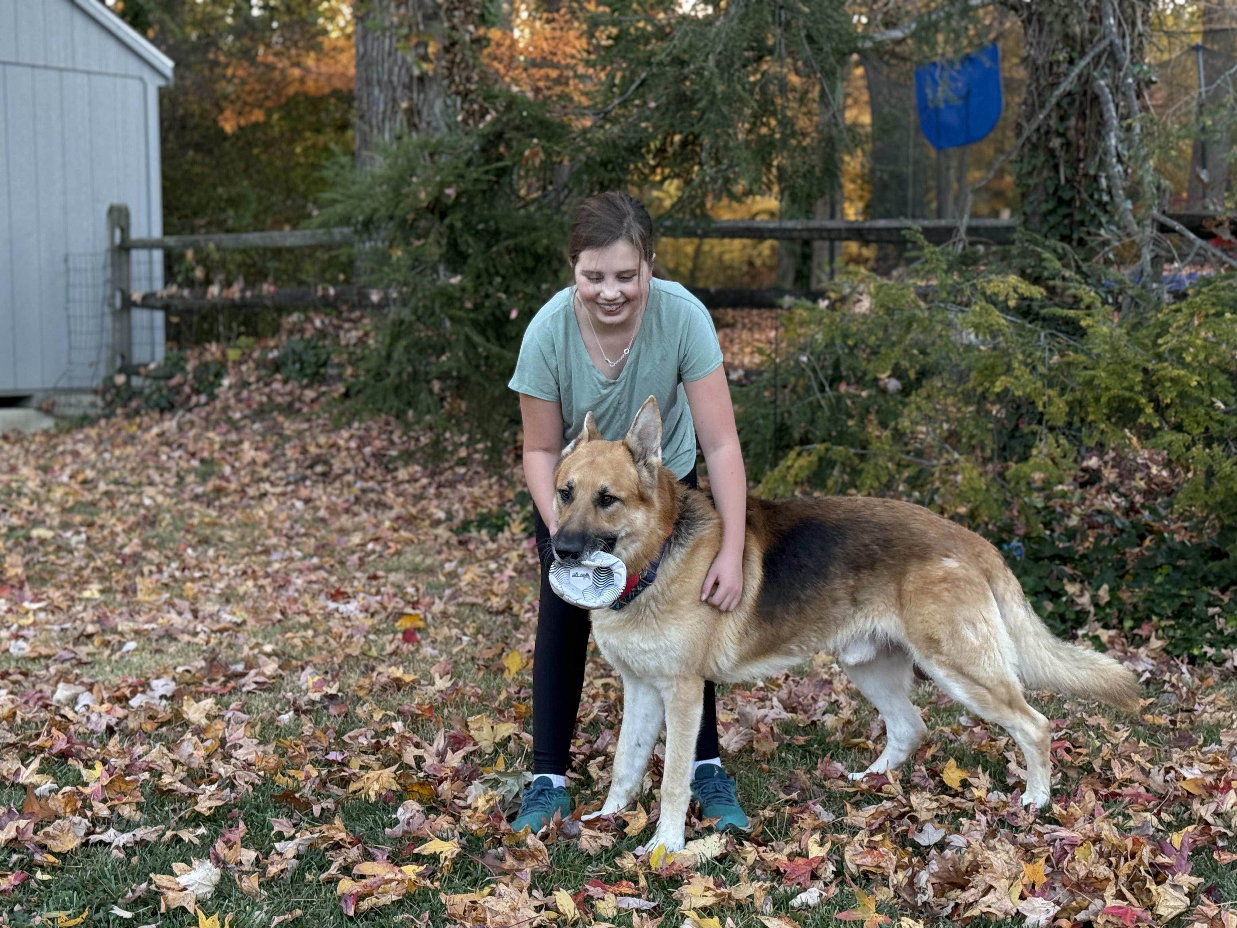 KNOX, a Adoptable mixed breed in Wilmington, DE image 2/6