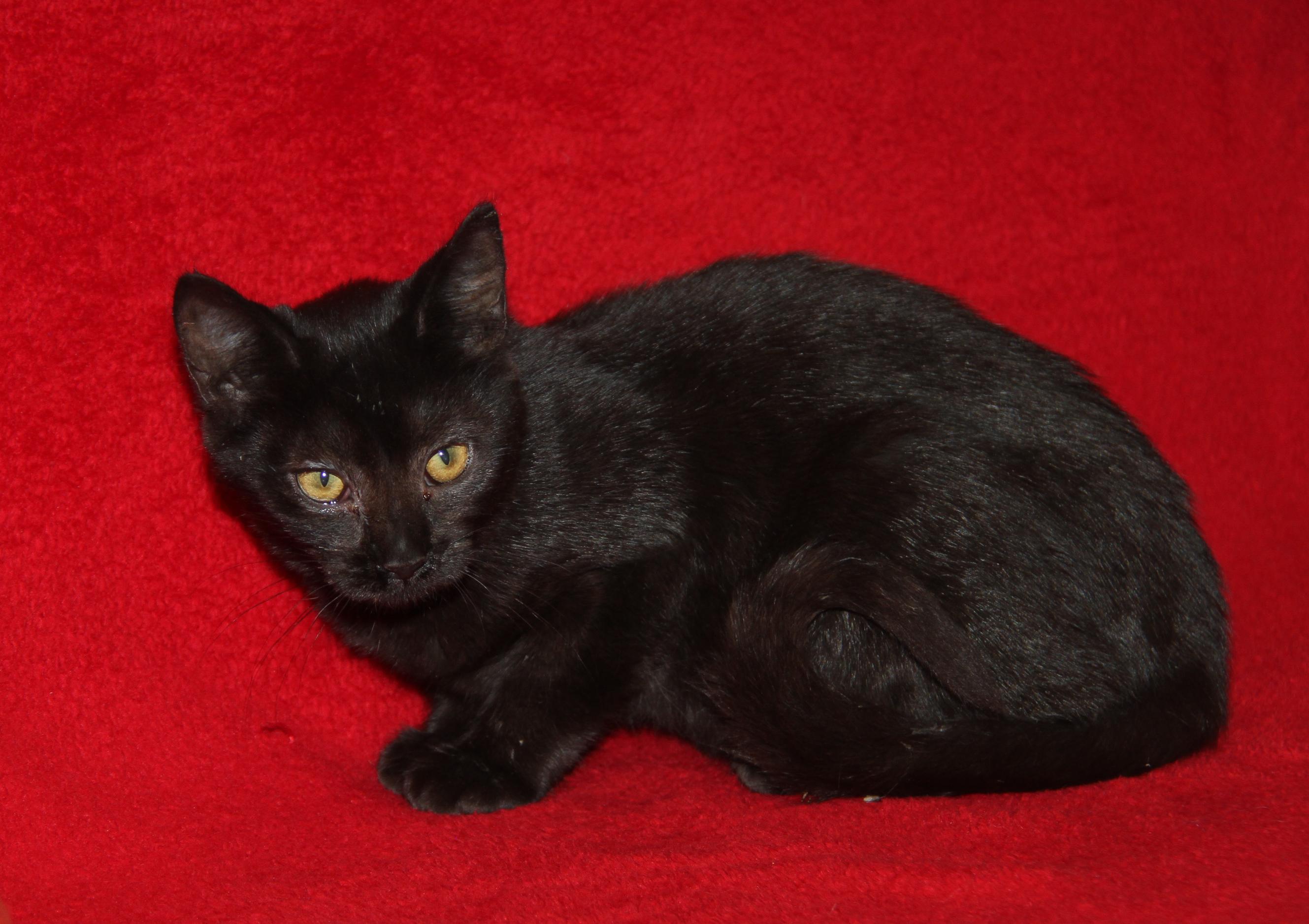 Jackie (Photos 10/8/2025)