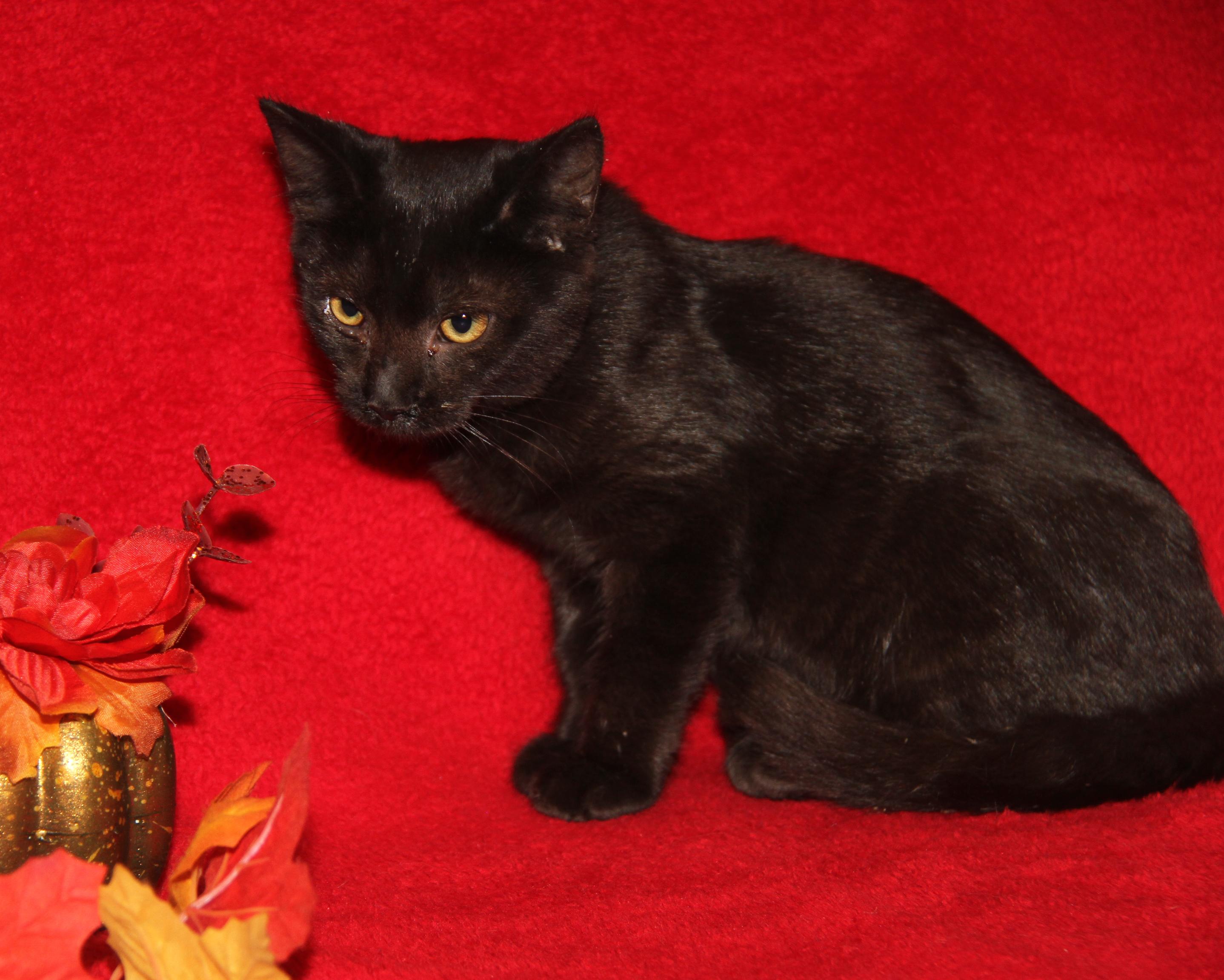 Jackie (Photos 10/8/2025)